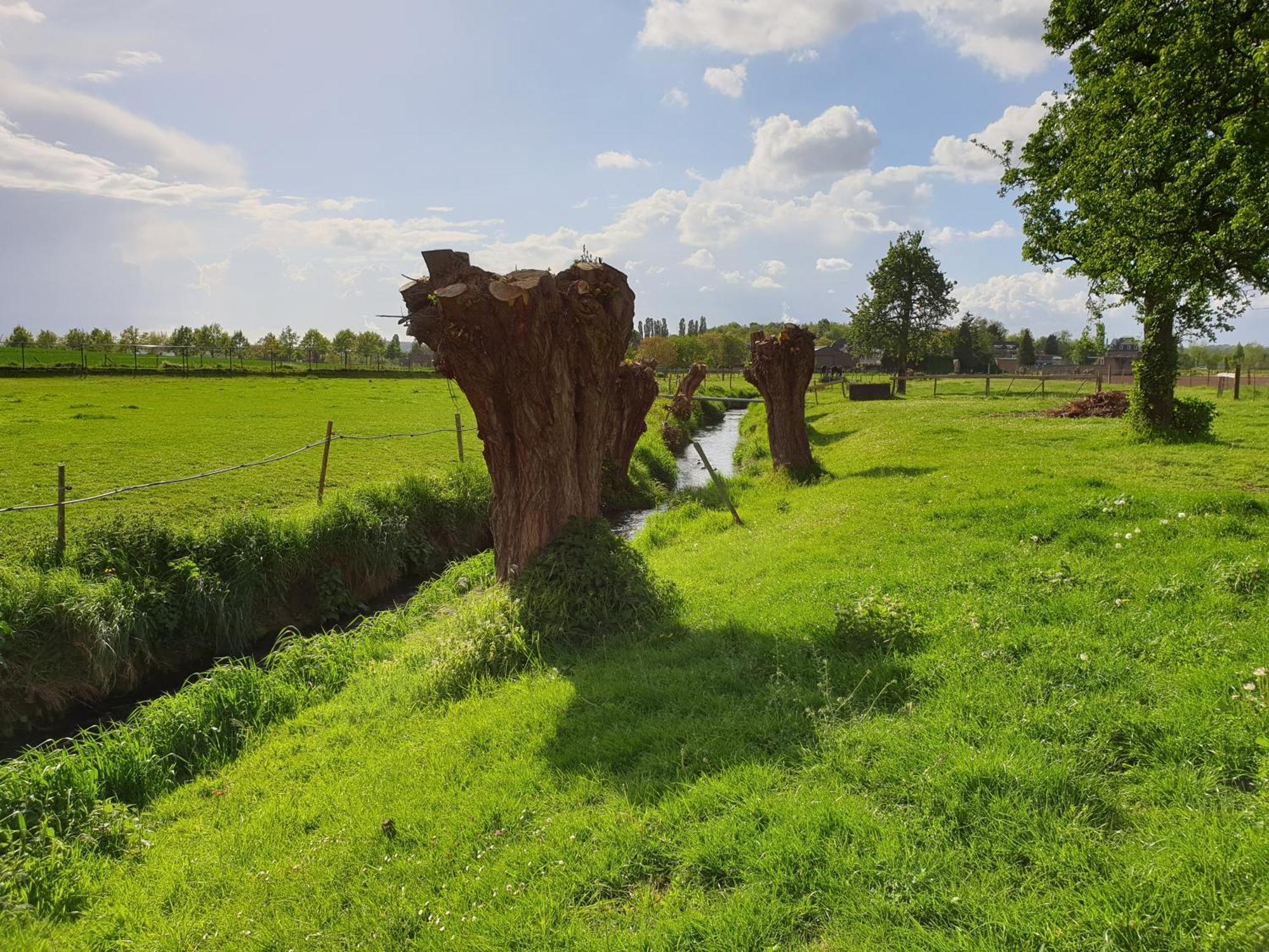 Meschermolen 13 Eijsden Exteriér fotografie